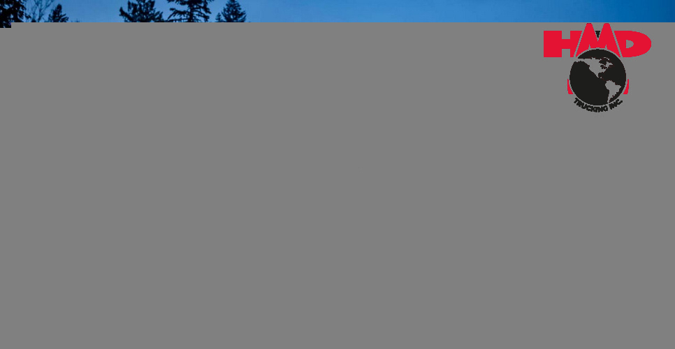 Things to Know about Truck Driving at Night Increased Wildlife Moments
